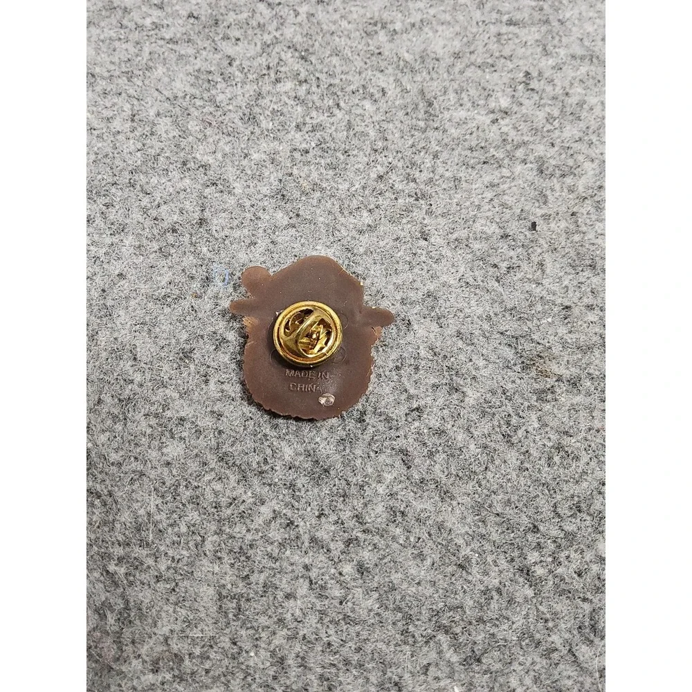 Classic Smokey The Bear Face In Ranger Hat Wildfires Pin Button New 2000's
